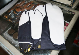 アラヰヤ(アライヤ)Araiya